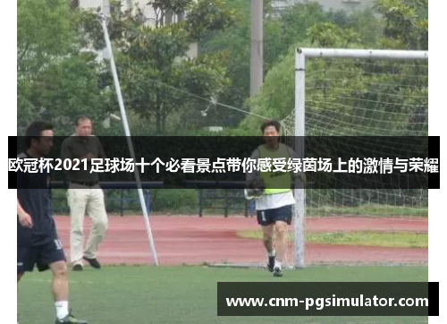 欧冠杯2021足球场十个必看景点带你感受绿茵场上的激情与荣耀