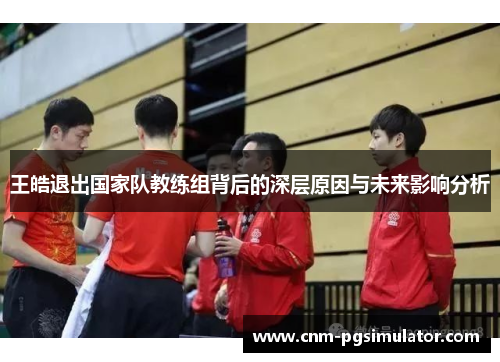 王皓退出国家队教练组背后的深层原因与未来影响分析