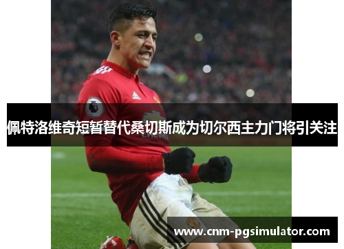 佩特洛维奇短暂替代桑切斯成为切尔西主力门将引关注