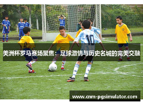 美洲杯罗马赛场聚焦：足球激情与历史名城的完美交融