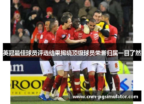英冠最佳球员评选结果揭晓顶级球员荣誉归属一目了然